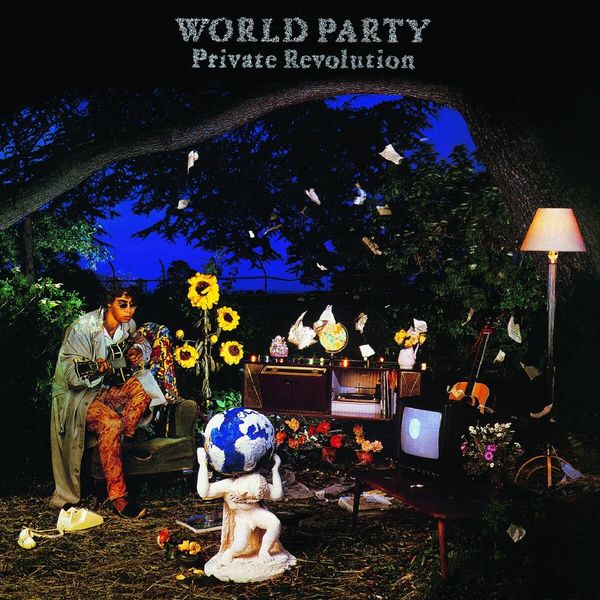 Cover of 'Private Revolution' - World Party